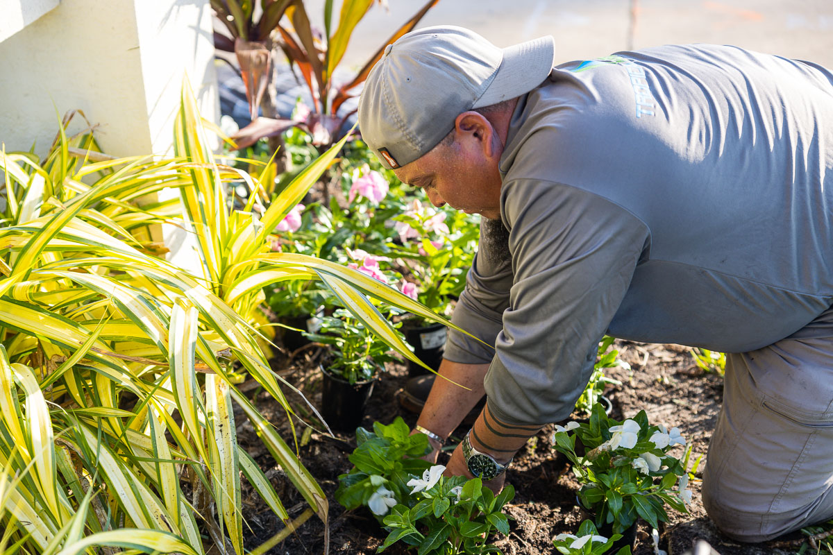 10 Proper Planting Tips for Your Sarasota Yard